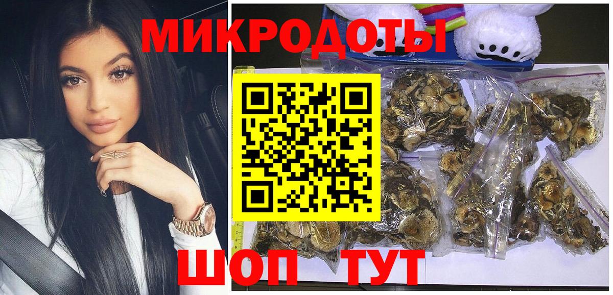 Камышлов  Галлюциногенные грибы прущие грибы  Вход с VPN  Псилоцибиновые грибы Magic Shrooms 