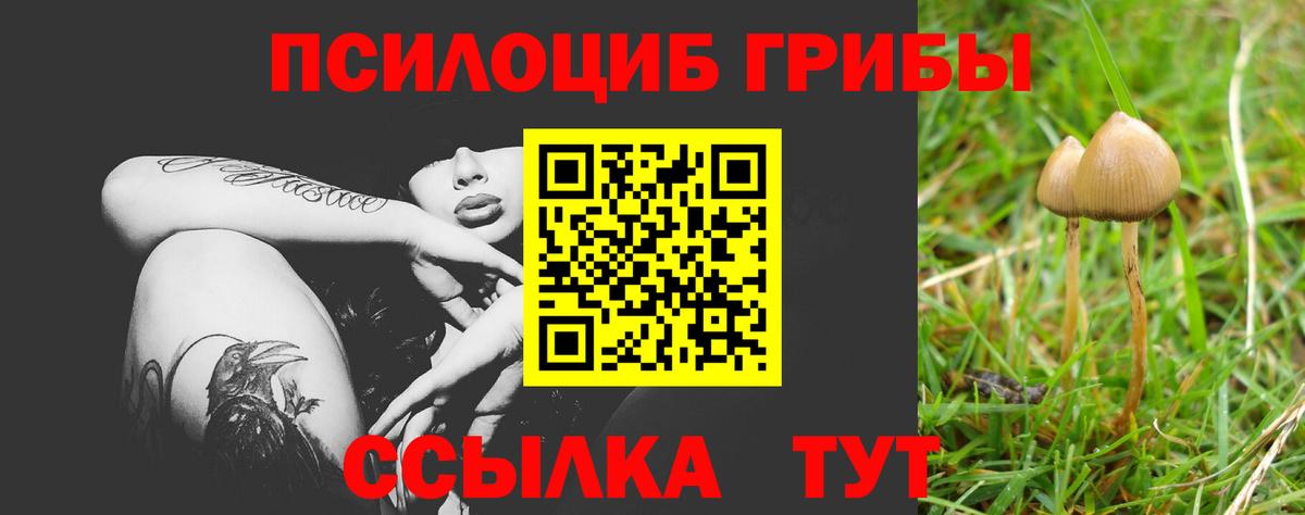 Псилоцибиновые грибы Magic Shrooms Камышлов