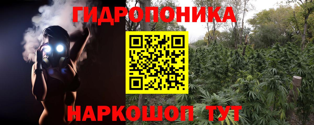 Бошки Шишки AK-47 Камышлов